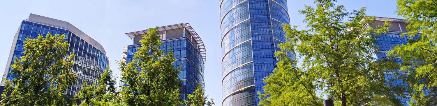 すみたに社会保険労務士事務所